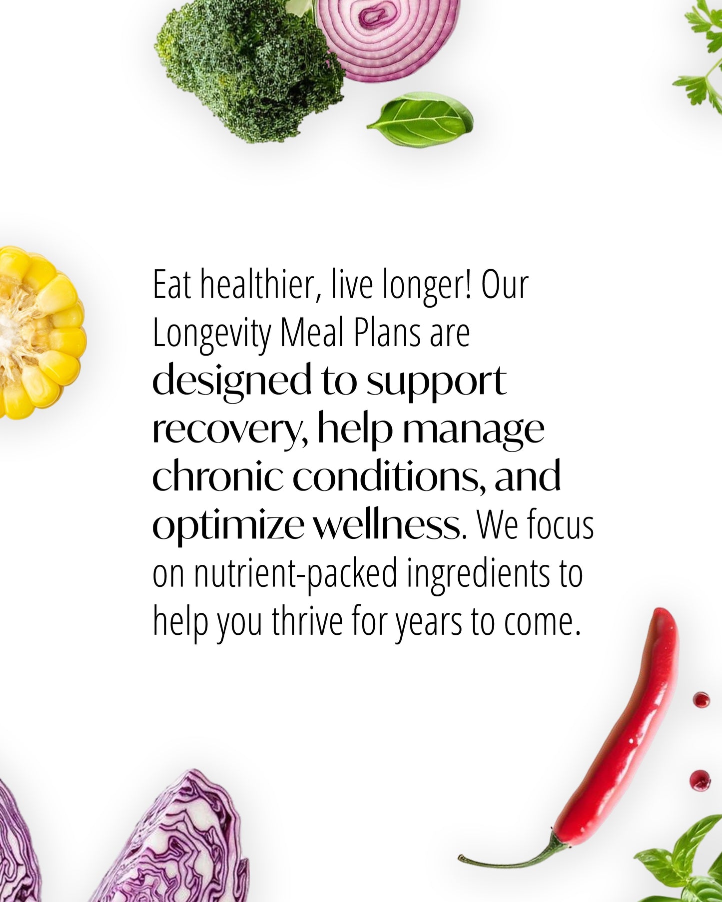 Longevity Daily Meal Plan
