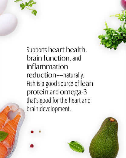 Pescetarian Meal Plan